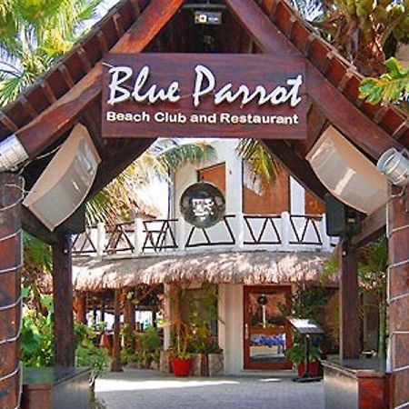 Blue Parrot Suites Плайя-дель-Кармен Екстер'єр фото