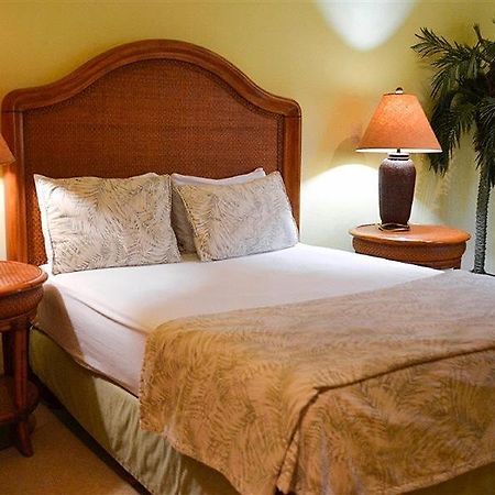 Blue Parrot Suites Плайя-дель-Кармен Екстер'єр фото