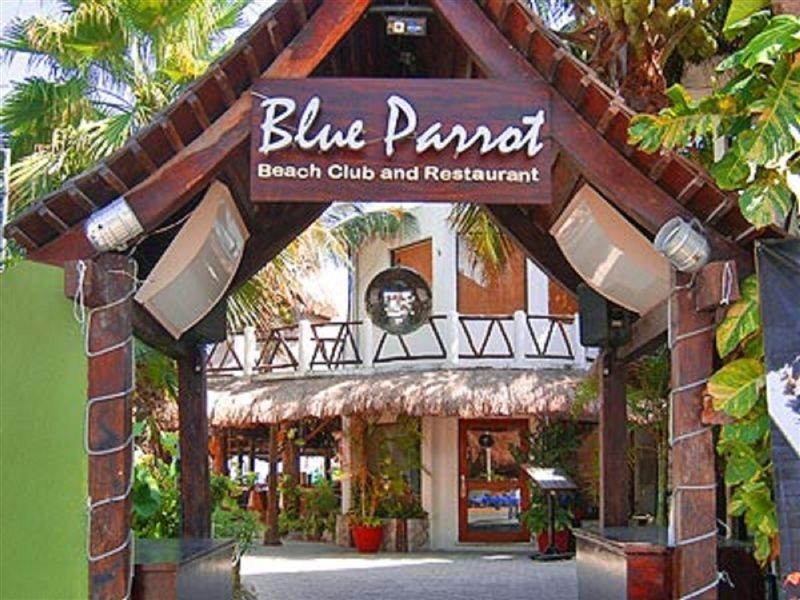 Blue Parrot Suites Плайя-дель-Кармен Екстер'єр фото