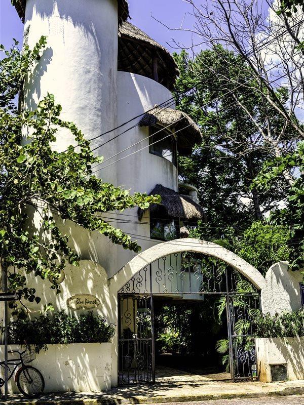 Blue Parrot Suites Плайя-дель-Кармен Екстер'єр фото