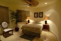 Blue Parrot Suites Плайя-дель-Кармен Екстер'єр фото