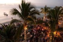Blue Parrot Suites Плайя-дель-Кармен Екстер'єр фото