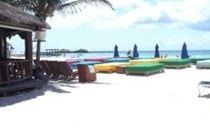 Blue Parrot Suites Плайя-дель-Кармен Екстер'єр фото